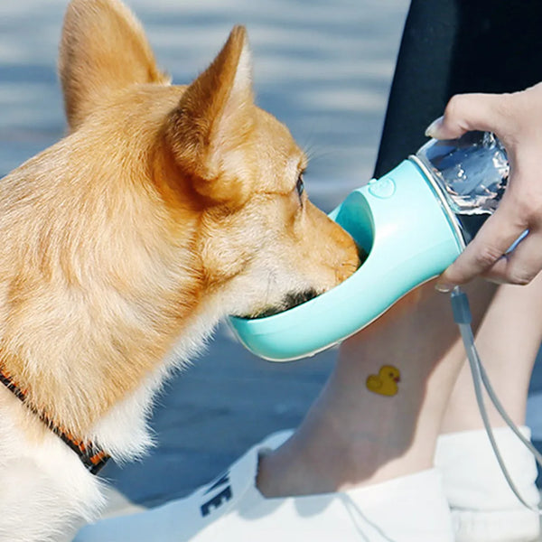 Portable Outdoor Dog Water Bottle Bowl
