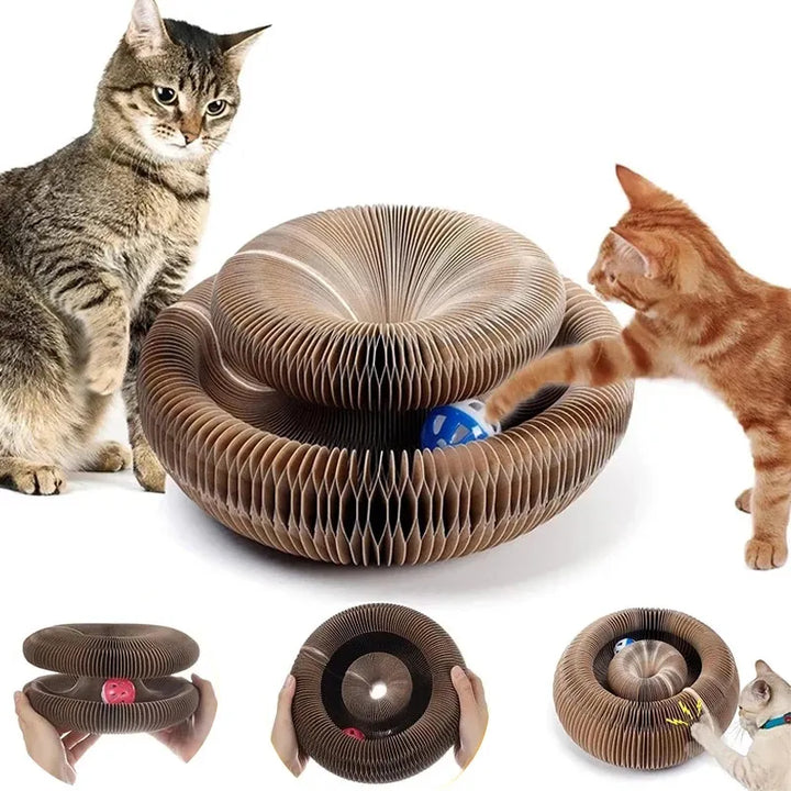 Magic Corrugated Cat Scratcher Board - PetFurBuddy