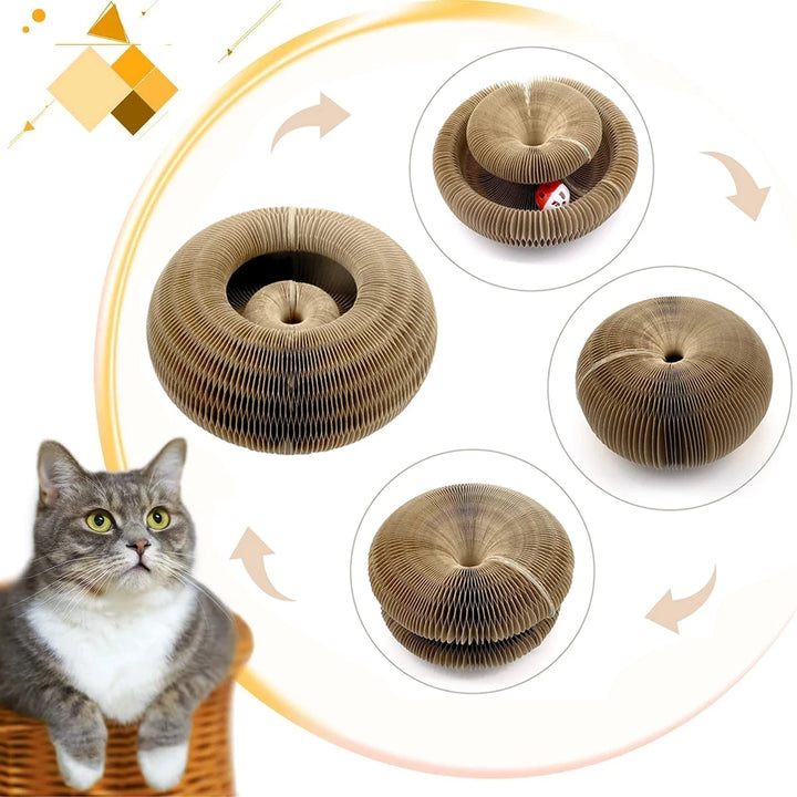 Magic Corrugated Cat Scratcher Board - PetFurBuddy