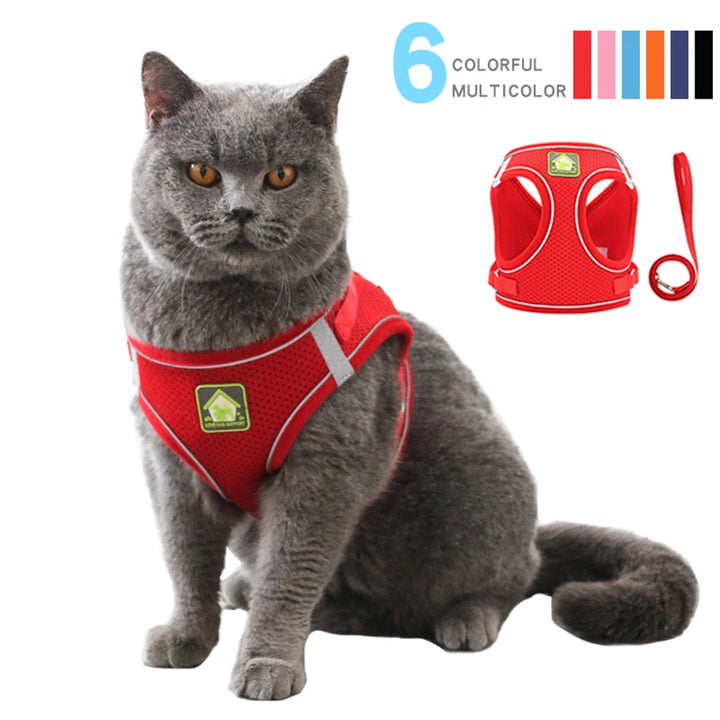 Reflective Cat Harness Vest With Walking Lead Leash - PetFurBuddy